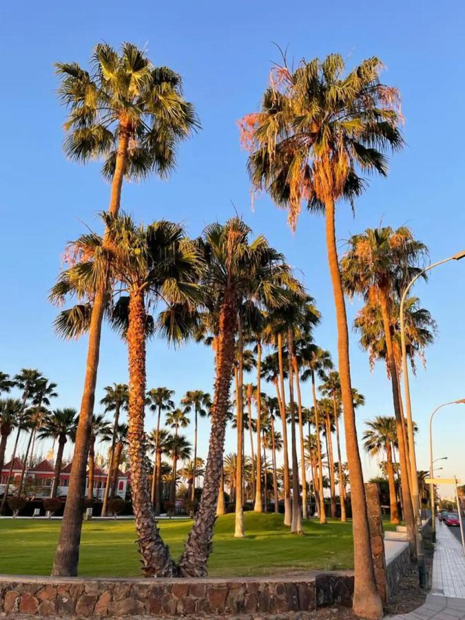 Playa Del Ingles Vitamine D Garantie San Bartolomé エクステリア 写真