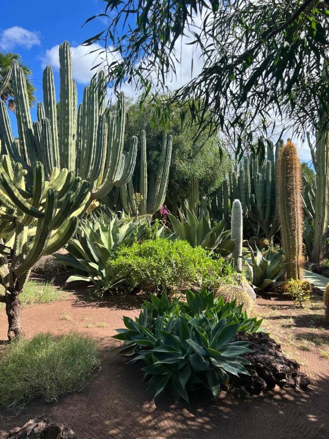 Playa Del Ingles Vitamine D Garantie San Bartolomé エクステリア 写真